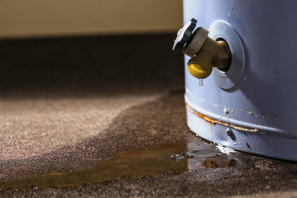 Best Sewage cleanup and water damage restoration  in North El Monte, CA