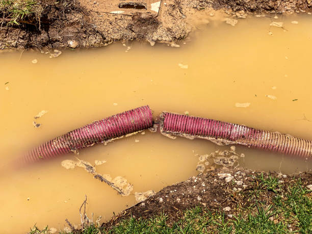 Best Local water damage restoration  in North El Monte, CA